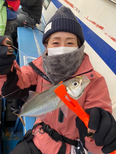 ヤザワ渡船 釣果