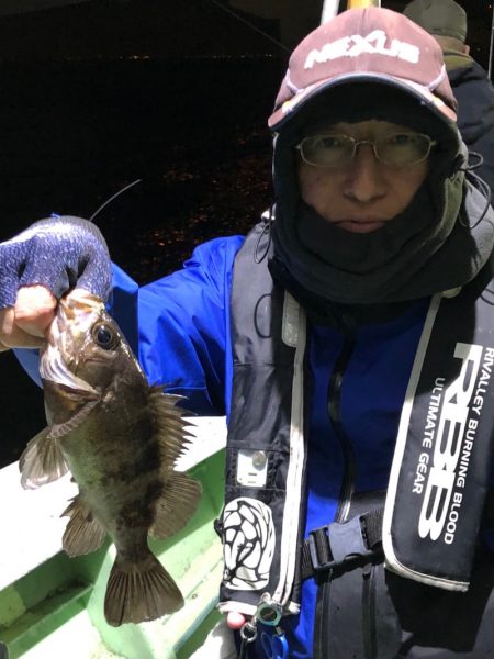 ヤザワ渡船 釣果