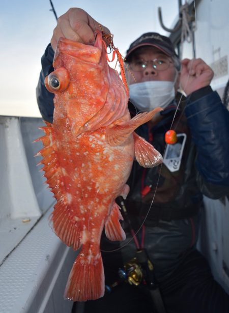 渡船屋たにぐち 釣果
