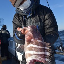 渡船屋たにぐち 釣果