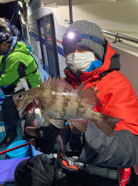 ヤザワ渡船 釣果
