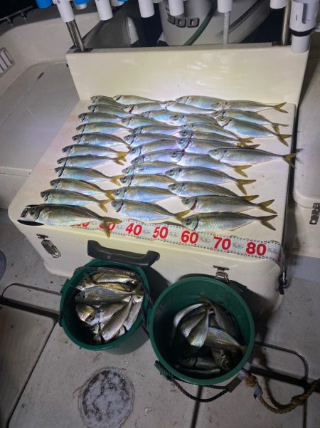 Monster Rush! 釣果