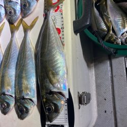 Monster Rush! 釣果