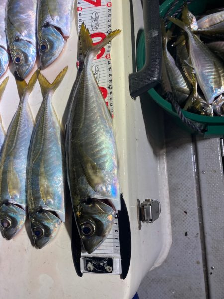 Monster Rush! 釣果