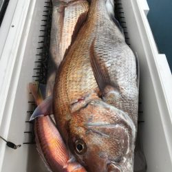 第二八坂丸 釣果