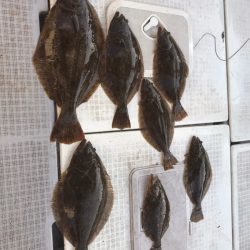 遊漁船メテオ 釣果