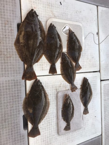 遊漁船メテオ 釣果