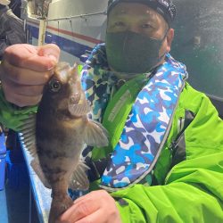 ヤザワ渡船 釣果