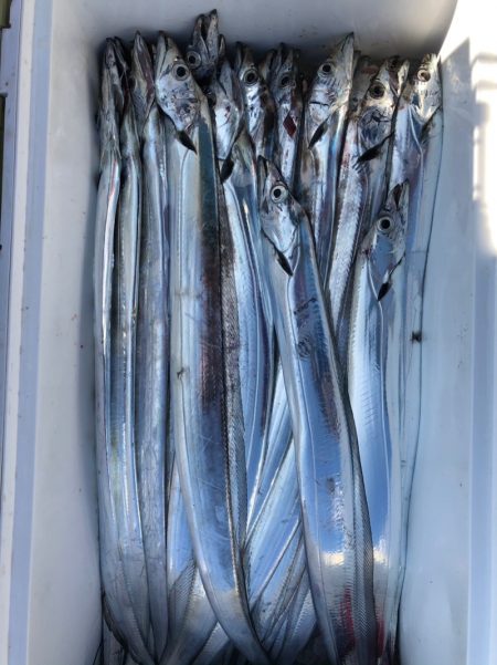 フィッシング　キッタカ 釣果