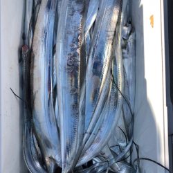 フィッシング　キッタカ 釣果