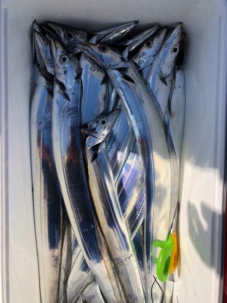 フィッシング　キッタカ 釣果