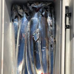 フィッシング　キッタカ 釣果