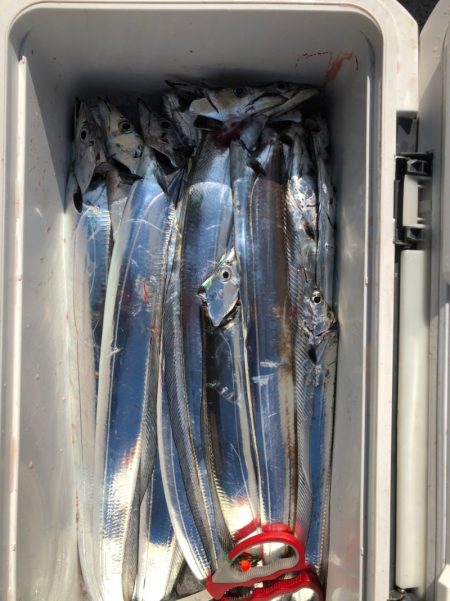 フィッシング　キッタカ 釣果