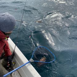 「LaGooN」蒼陽丸 日和号　 釣果