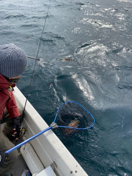 「LaGooN」蒼陽丸 日和号　 釣果