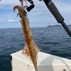 「LaGooN」蒼陽丸 日和号　 釣果