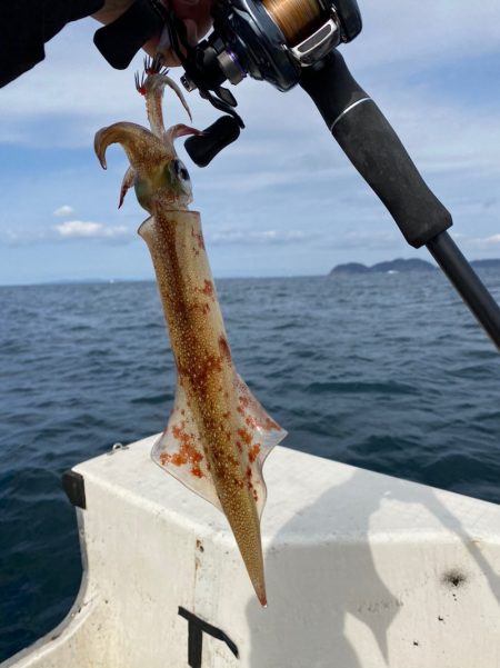 「LaGooN」蒼陽丸 日和号　 釣果