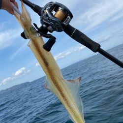 「LaGooN」蒼陽丸 日和号　 釣果