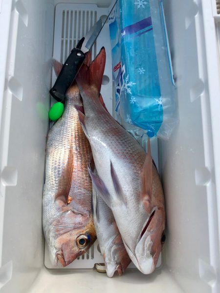 第二八坂丸 釣果