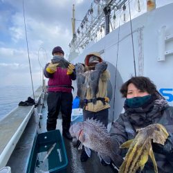 シーランチ 釣果