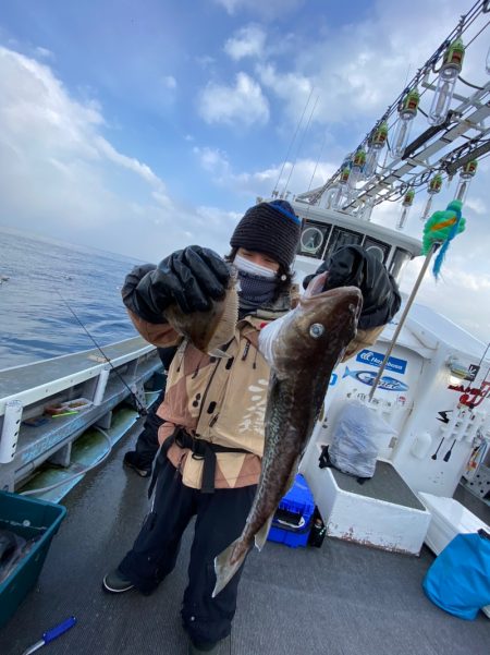 シーランチ 釣果