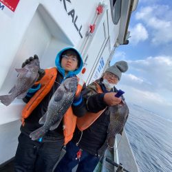 シーランチ 釣果