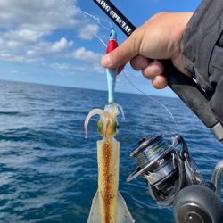 「LaGooN」蒼陽丸 日和号 釣果