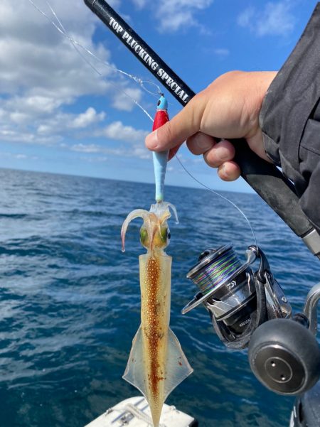「LaGooN」蒼陽丸 日和号 釣果