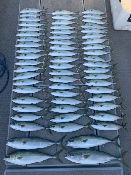 SeaRide(シーライド) 釣果