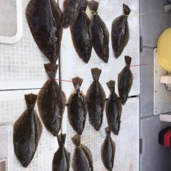 遊漁船メテオ 釣果