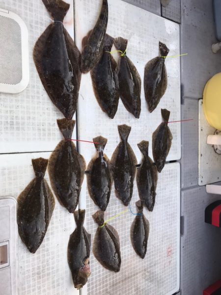 遊漁船メテオ 釣果