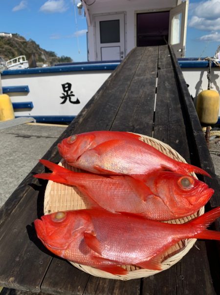 晃山丸 釣果