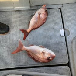 遊漁船高橋 釣果