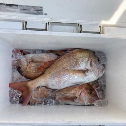 遊漁船高橋 釣果