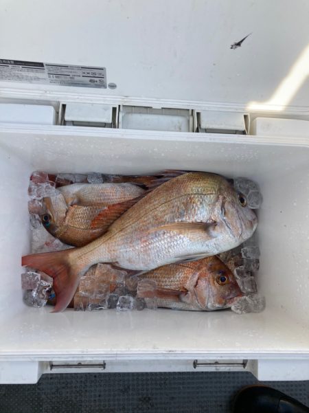 遊漁船高橋 釣果