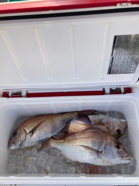 遊漁船高橋 釣果