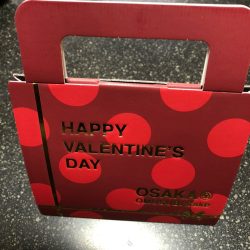 フィッシング　キッタカ 釣果