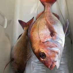 第二八坂丸 釣果