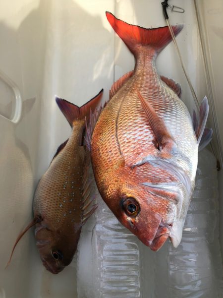 第二八坂丸 釣果