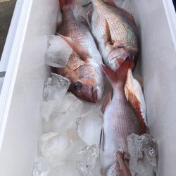 第二八坂丸 釣果