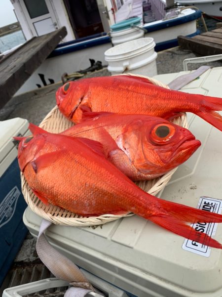 晃山丸 釣果