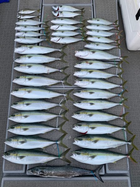 SeaRide(シーライド) 釣果