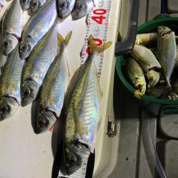 Monster Rush! 釣果