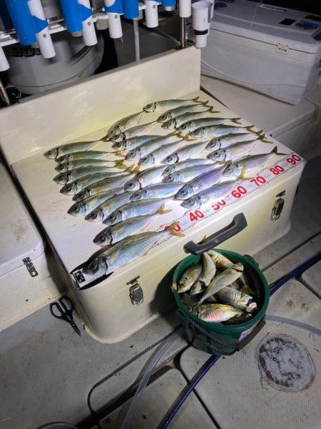 Monster Rush! 釣果