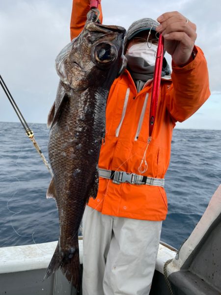 ＴＡＲＯＭＡＲＵ 釣果