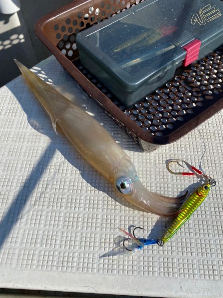 「LaGooN」蒼陽丸 日和号 釣果