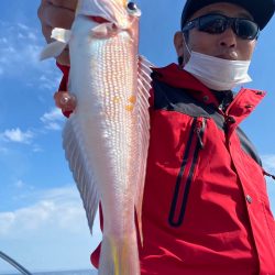 あみや渡船 JIGBOY 釣果