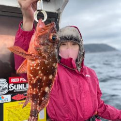 龍神丸（鹿児島） 釣果