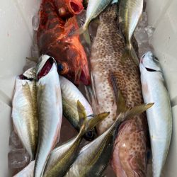 龍神丸（鹿児島） 釣果