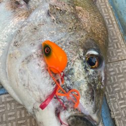 龍神丸(鹿児島) 釣果